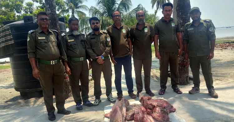 সুন্দরবন থেকে ৪২ কেজি হরিণের মাংস জব্দ