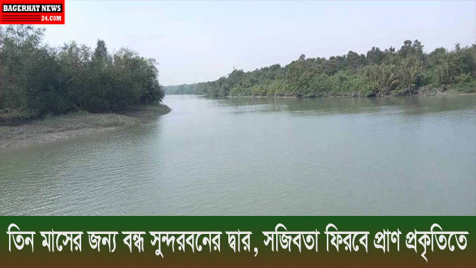 তিন মাসের জন্য বন্ধ সুন্দরবনের দ্বার, সজিবতা ফিরবে প্রাণ-প্রকৃতিতে