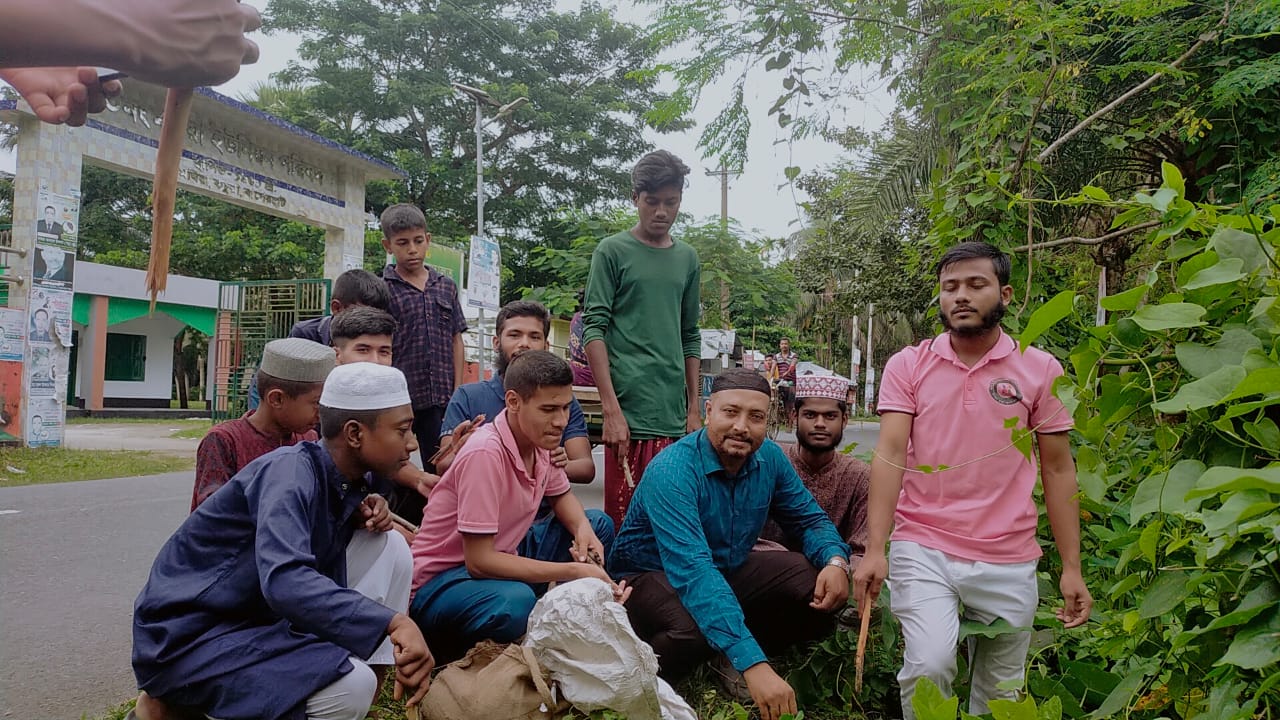 কচুয়া মঘিয়ায় হিলফুল ফুজুল স্টুডেন্ট ফাউন্ডেশনের উদ্যোগে খেজুর বিজ বপন কর্মসূচি